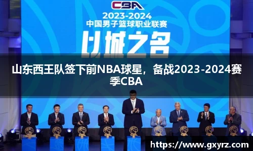 bsports官网入口