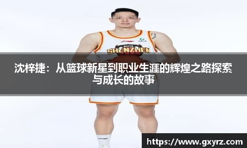 bsports官网