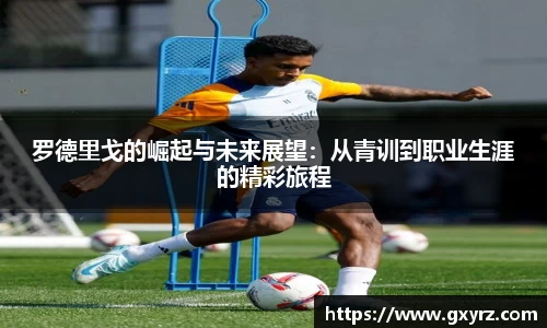 bsports官网入口