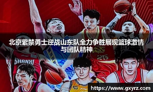 B体育bsports